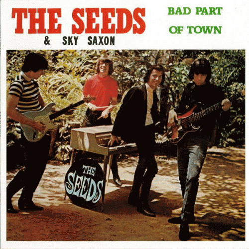 The Seeds : Bad Part of Town